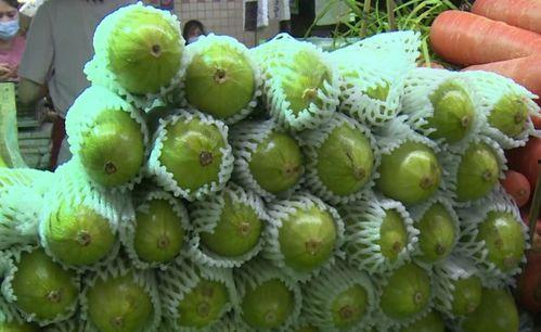 萌芽的葫芦瓜怎么吃,探索葫芦瓜的嫩芽烹饪艺术