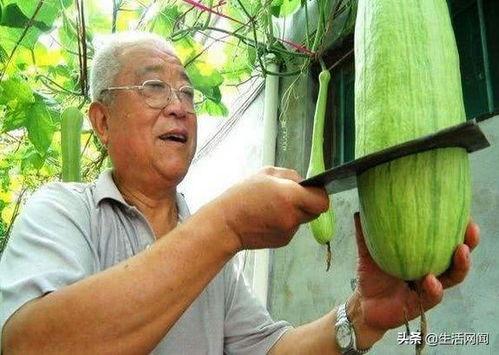 饭店吃瓜被砍,饭店吃瓜遭遇砍人事件