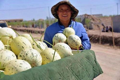 在窗口当吃瓜群众,揭秘吃瓜群众的欢乐时光