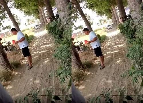 吃瓜哥郎溪,揭秘瓜乡风情与美食传奇