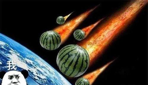 北美吃瓜红发,揭秘网络红人的崛起与影响力