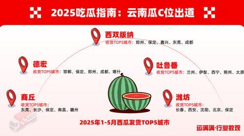 中国吃瓜数量,数量背后的社会现象解析