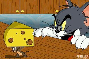 杰瑞在南京 吃瓜,杰瑞的“吃瓜”奇遇记