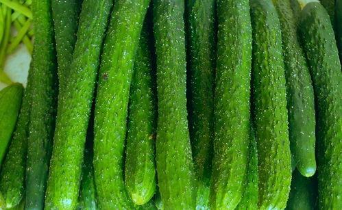 男女吃瓜,揭秘男女在吃瓜过程中的不同态度与喜好