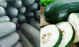 极品反差吃瓜中心