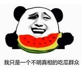 发表意见的吃瓜群众