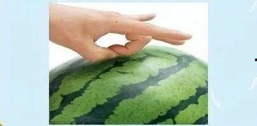 喵噗 吃瓜,揭秘娱乐圈那些不为人知的幕后故事